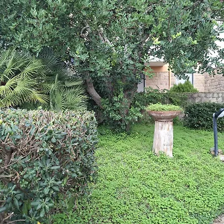 Il Carrubo