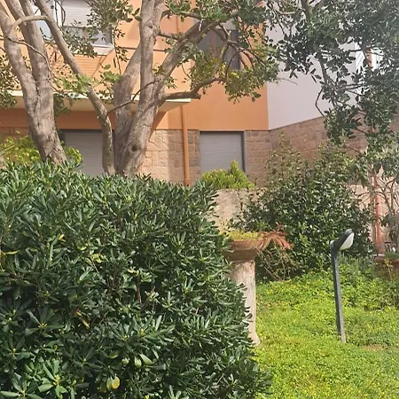 Il Carrubo